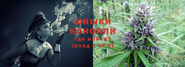 PSILOCYBIN Абаза