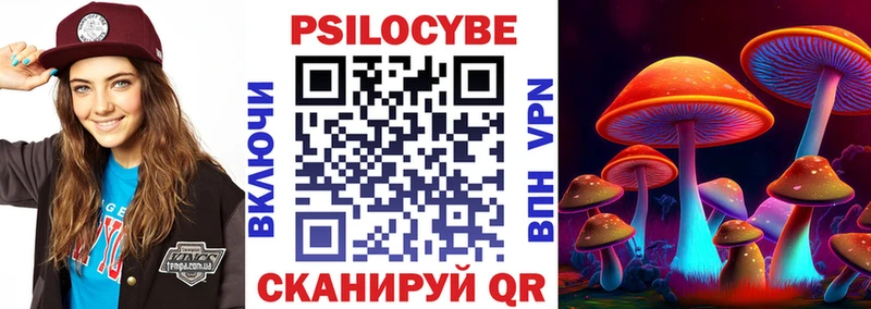 наркошоп  Отрадная  Псилоцибиновые грибы Psilocybe 