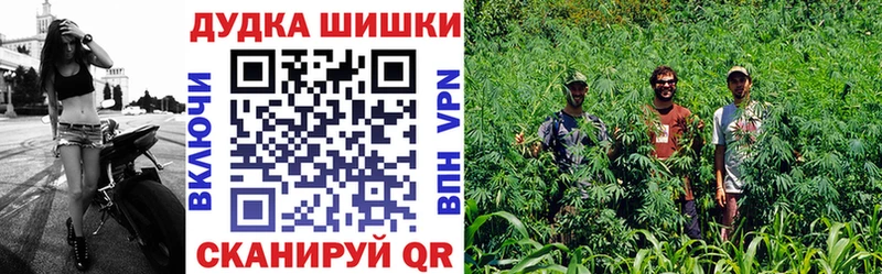 Каннабис VHQ наркошоп Отрадная
